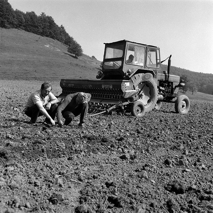 minerva_Agrar_c1_c8r4_010