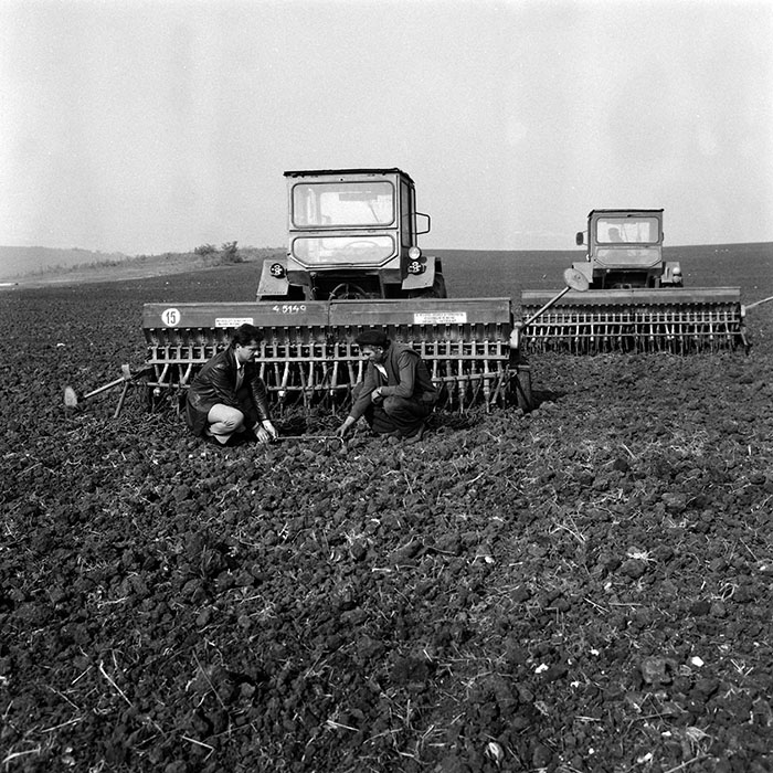 minerva_Agrar_c1_c8r4_013