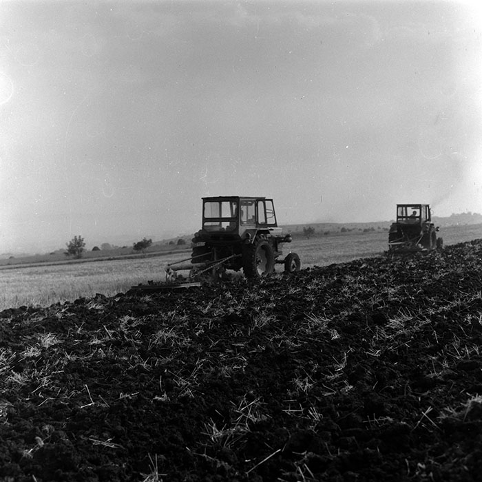 minerva_Agrar_c1_c8r5_004