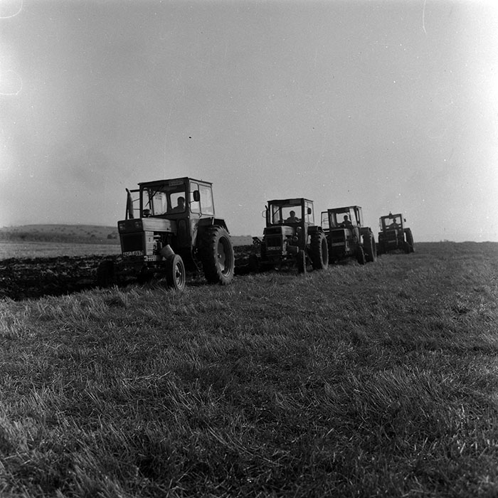 minerva_Agrar_c1_c8r5_005