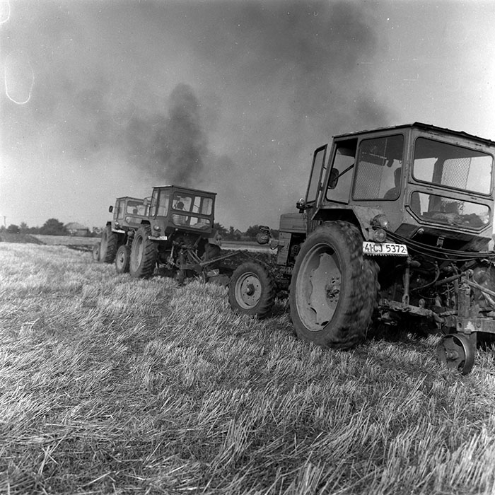 minerva_Agrar_c1_c8r5_007