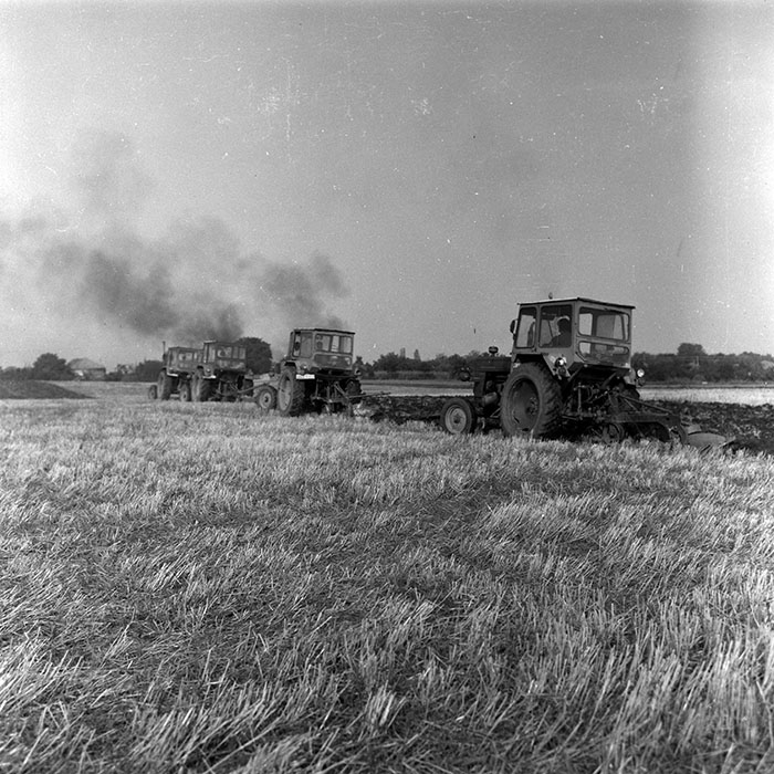 minerva_Agrar_c1_c8r5_009