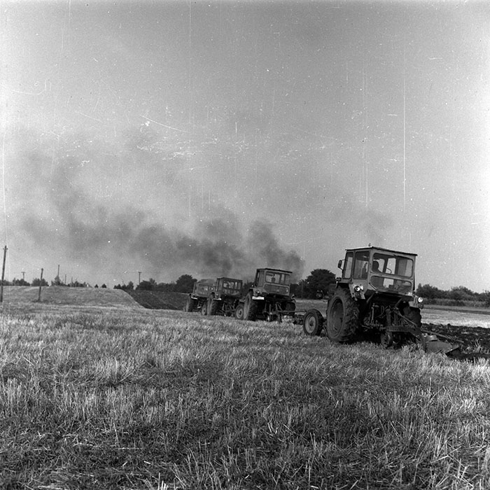 minerva_Agrar_c1_c8r5_010