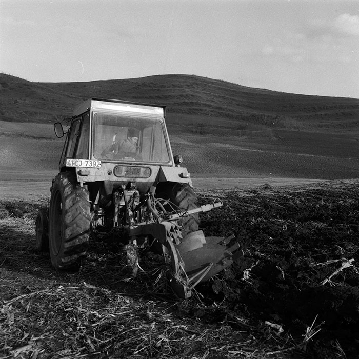 minerva_Agrar_c1_c8r5_015