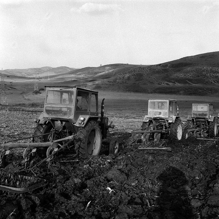 minerva_Agrar_c1_c8r5_017