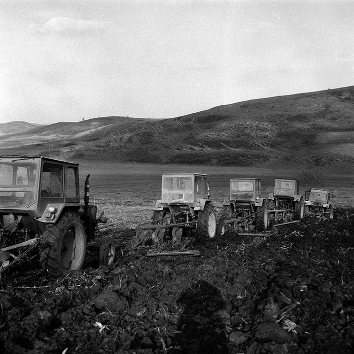 minerva_Agrar_c1_c8r5_018