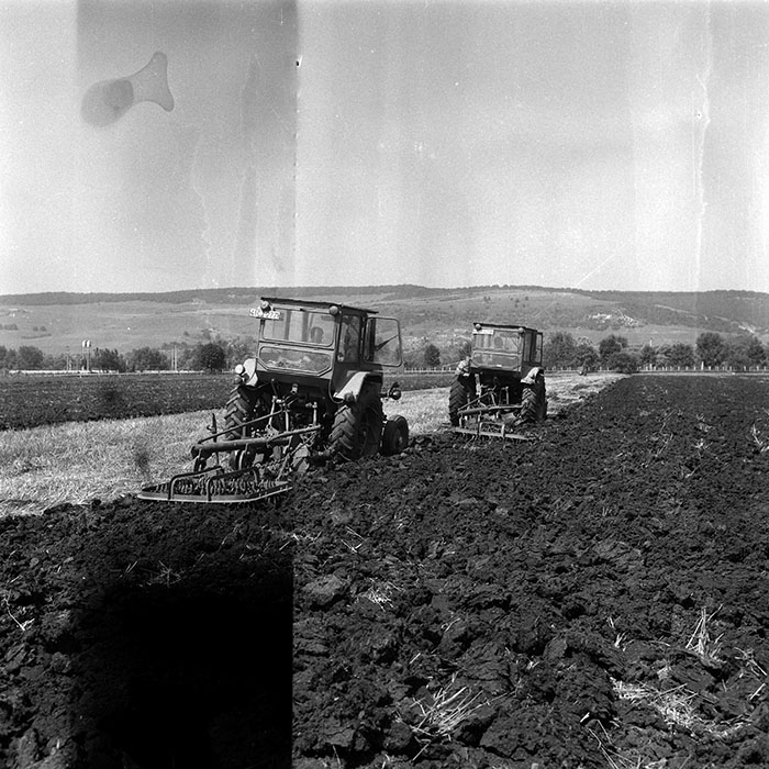 minerva_Agrar_c1_c8r5_020