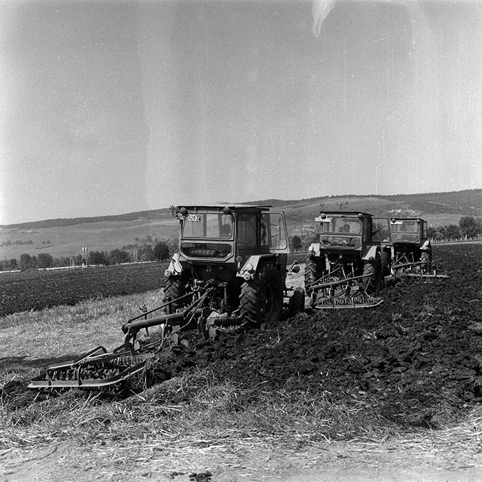 minerva_Agrar_c1_c8r5_021