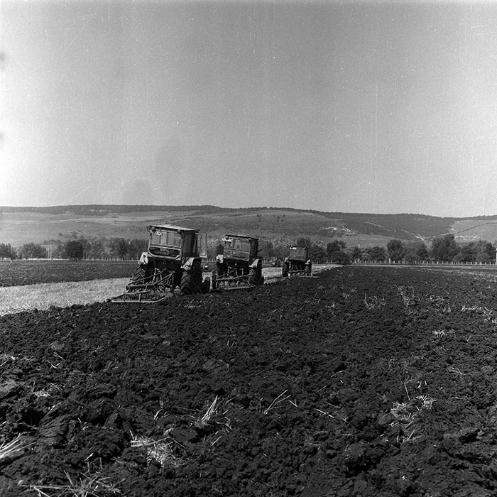 minerva_Agrar_c1_c8r5_024