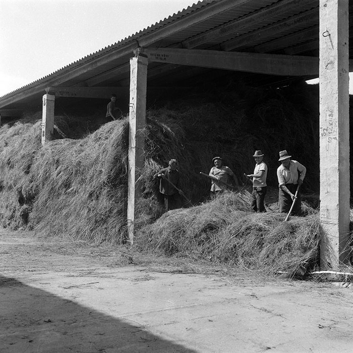 minerva_Agrar_c1_c8r5_030