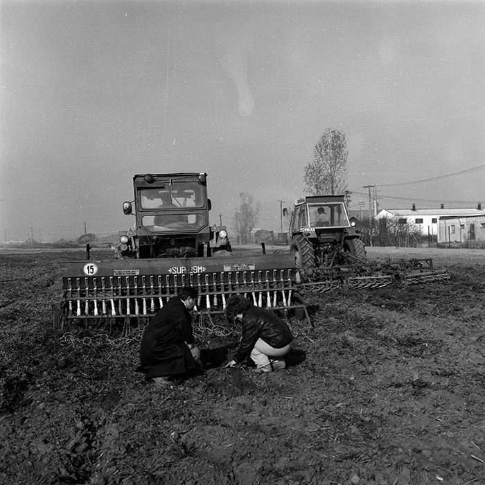 minerva_Agrar_c1_c9r1_009