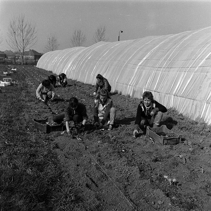 minerva_Agrar_c1_c9r1_010