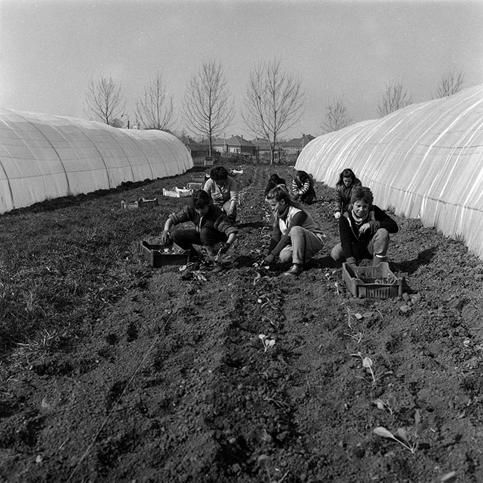 minerva_Agrar_c1_c9r1_011