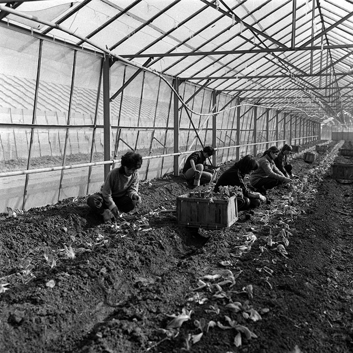 minerva_Agrar_c1_c9r1_012