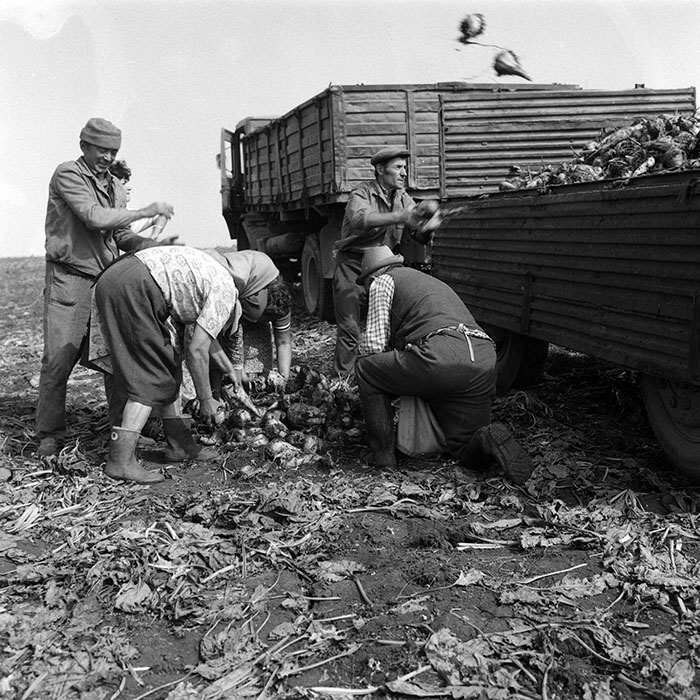 minerva_Agrar_c1_c9r1_013