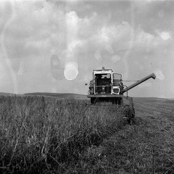 minerva_Agrar_c1_c9r1_016