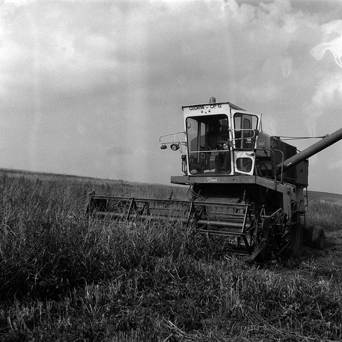 minerva_Agrar_c1_c9r1_018