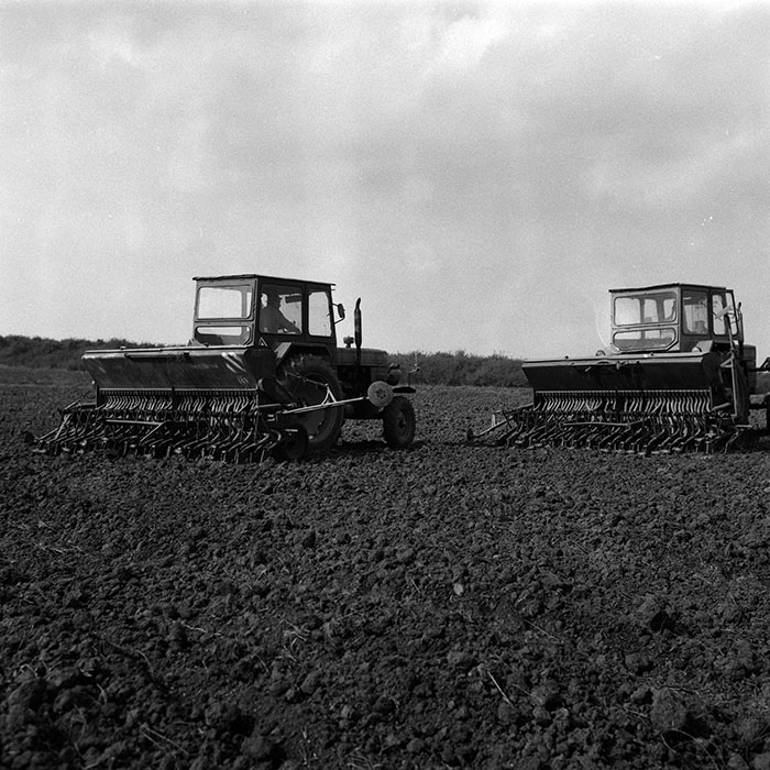 minerva_Agrar_c1_c9r1_021