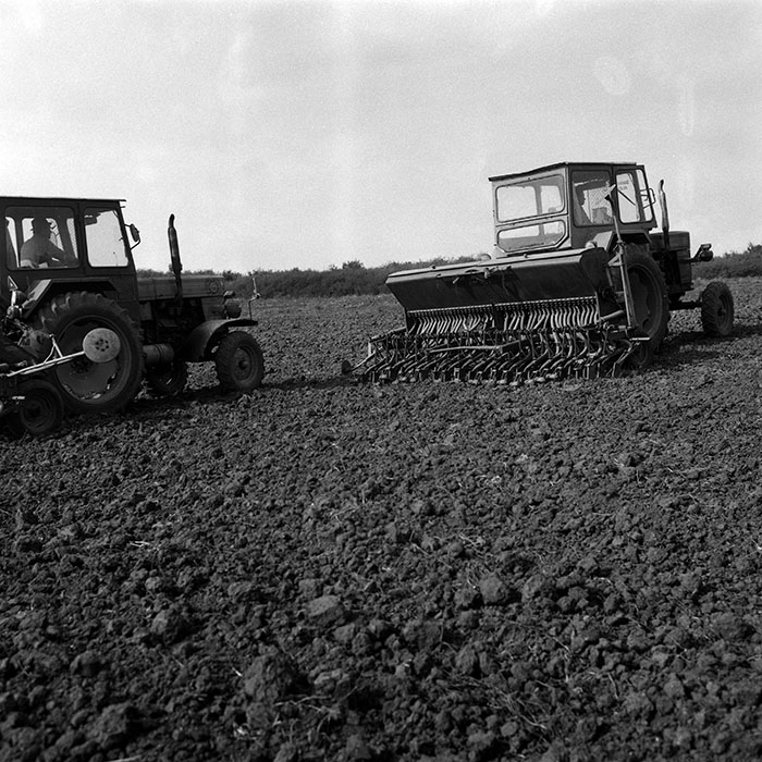 minerva_Agrar_c1_c9r1_023