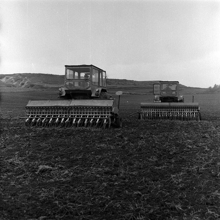 minerva_Agrar_c1_c9r1_029