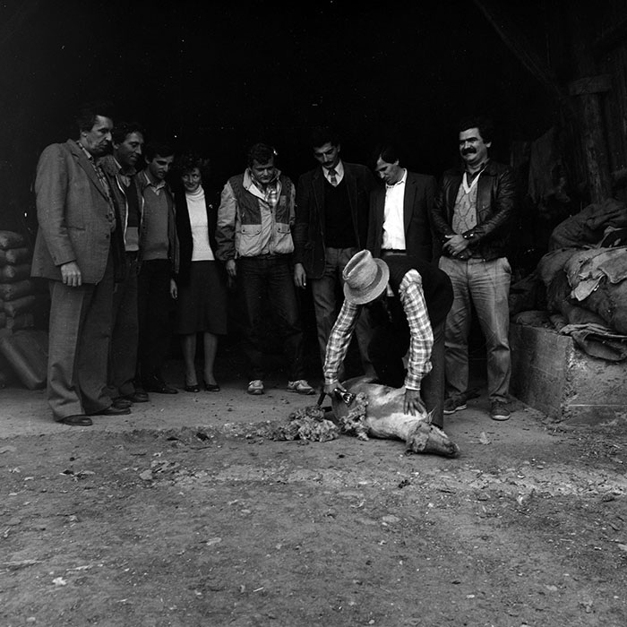 minerva_Agrar_c1_c9r1_033