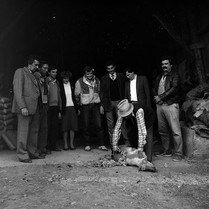 minerva_Agrar_c1_c9r1_034