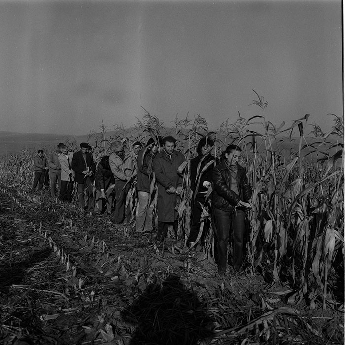 minerva_Agrar_c1_c9r2_001