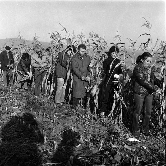 minerva_Agrar_c1_c9r2_002