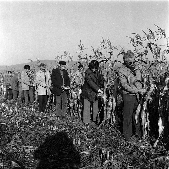 minerva_Agrar_c1_c9r2_003