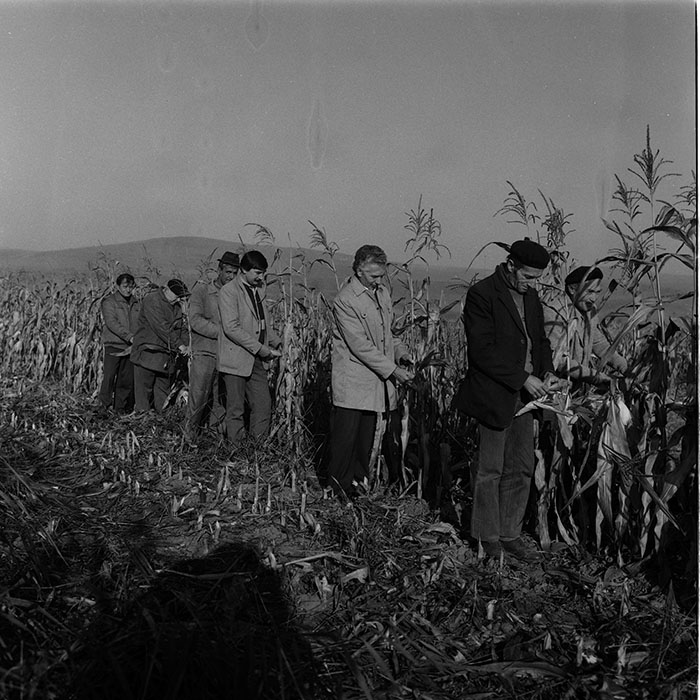 minerva_Agrar_c1_c9r2_004