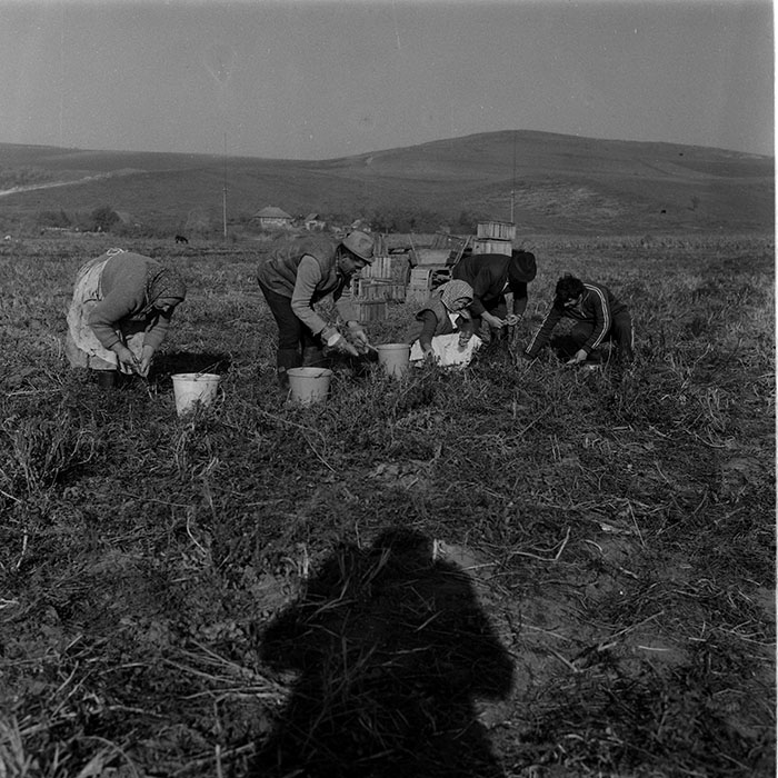 minerva_Agrar_c1_c9r2_005