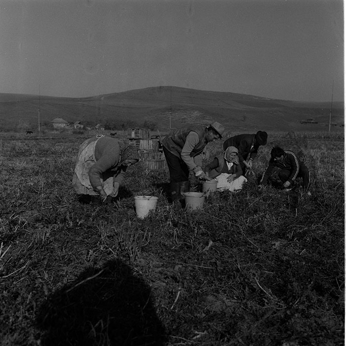 minerva_Agrar_c1_c9r2_006