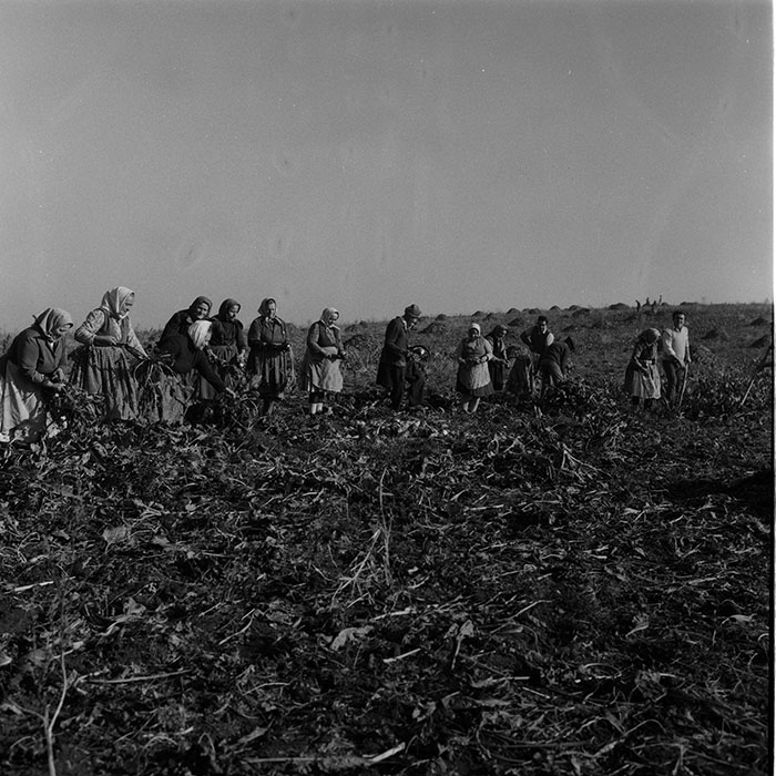 minerva_Agrar_c1_c9r2_007