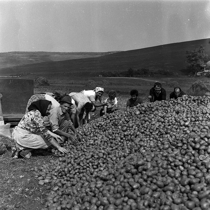 minerva_Agrar_c1_c9r3_001