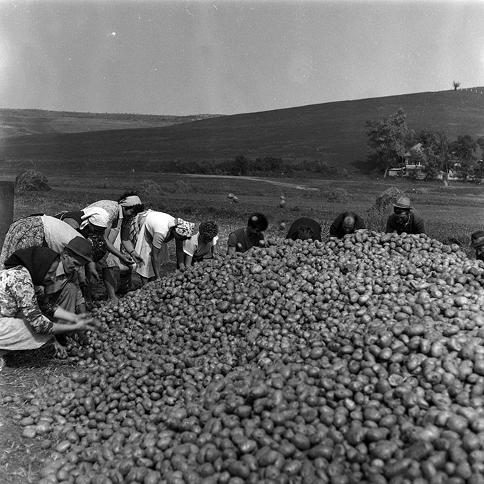 minerva_Agrar_c1_c9r3_002