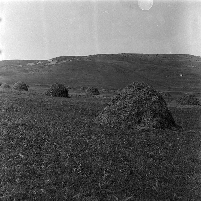 minerva_Agrar_c1_c9r3_004