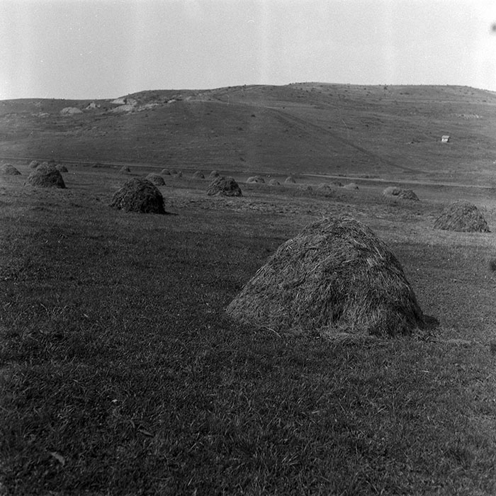 minerva_Agrar_c1_c9r3_005