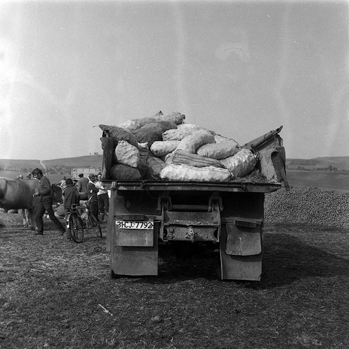 minerva_Agrar_c1_c9r3_006