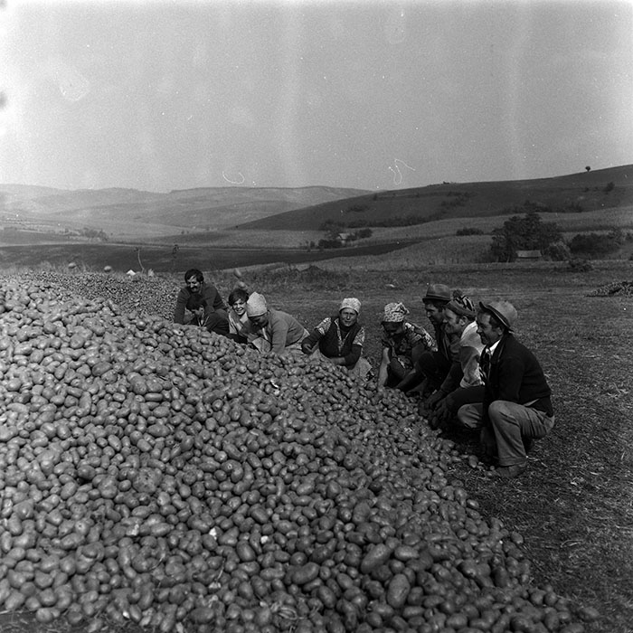 minerva_Agrar_c1_c9r3_007