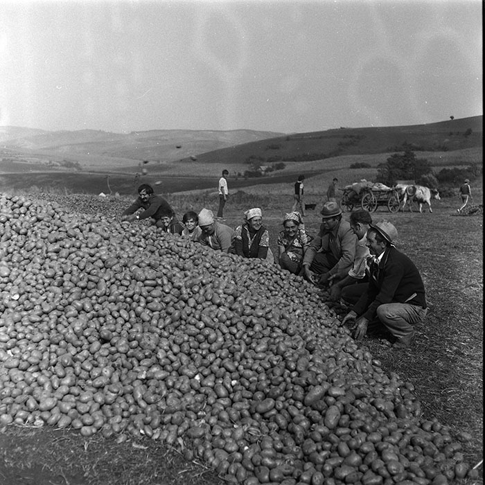 minerva_Agrar_c1_c9r3_008