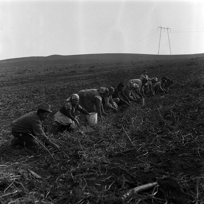 minerva_Agrar_c1_c9r3_009