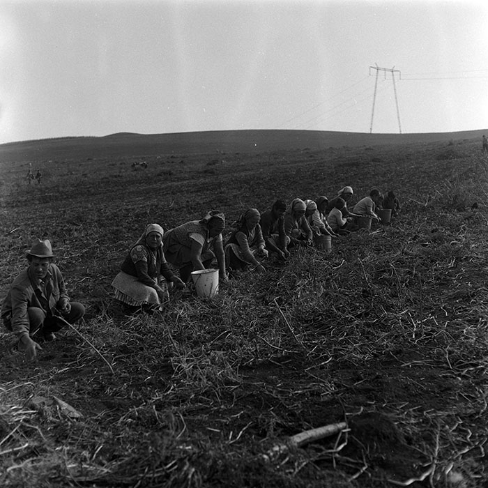 minerva_Agrar_c1_c9r3_010