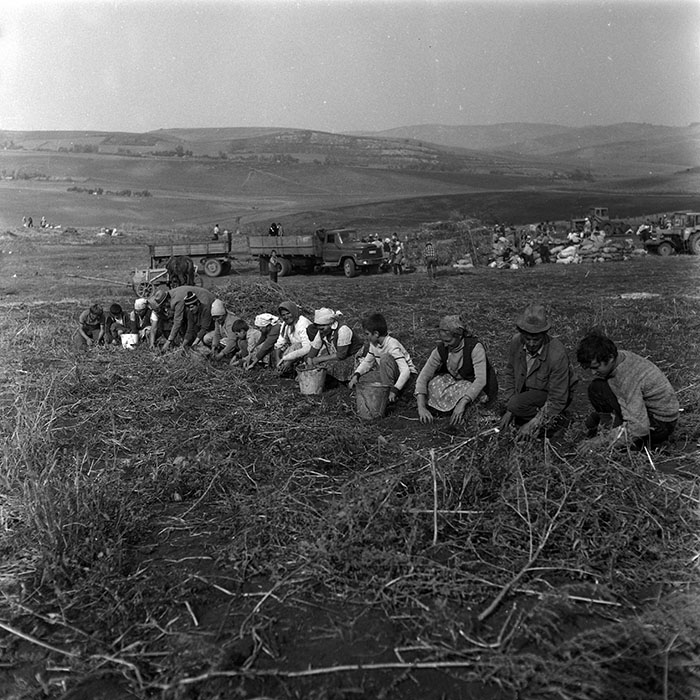 minerva_Agrar_c1_c9r3_011