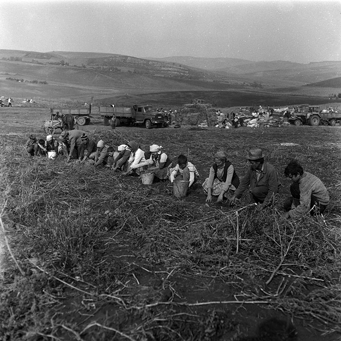 minerva_Agrar_c1_c9r3_012