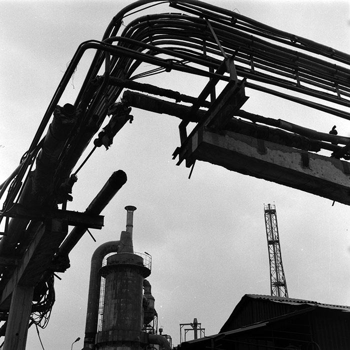 minerva_Agrar_c1_c9r4_007