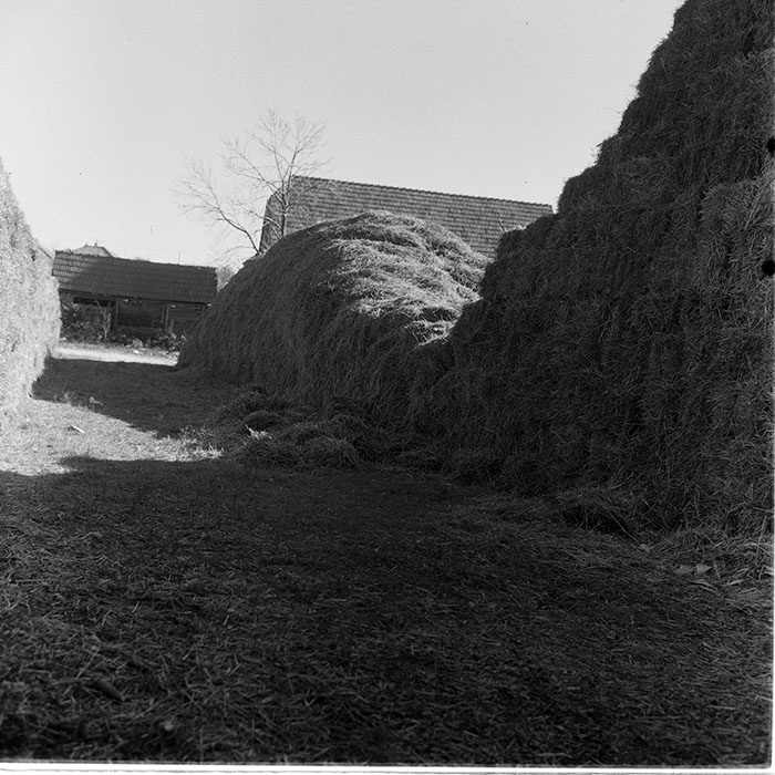 minerva_Constructii_c1r2_003