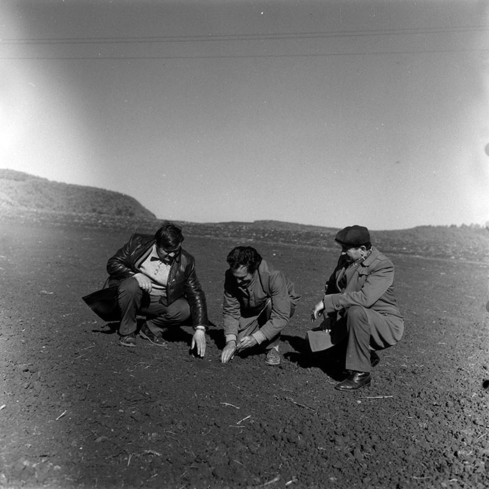 minerva_Constructii_c1r2_007