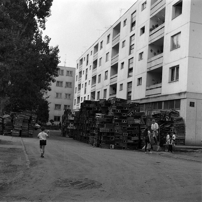 minerva_Constructii_c1r4_007