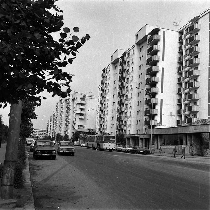 minerva_Constructii_c1r4_008