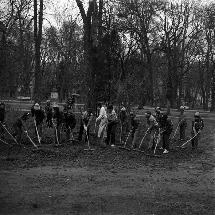 minerva_Constructii_c2r2_005